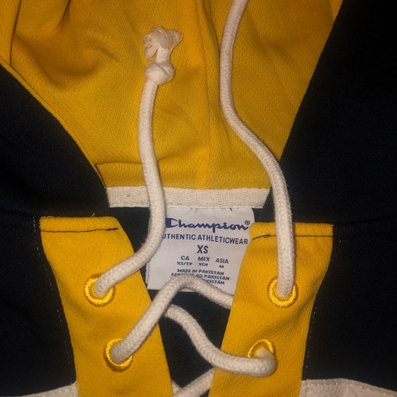 Champion U of M Jersey Hoodie: Worn Once - Picture 3 of 4